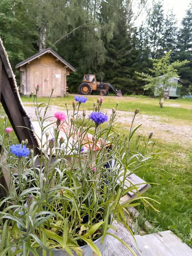 Kulttuurikartano Pekan Pirtit Haapavesi 外观 照片